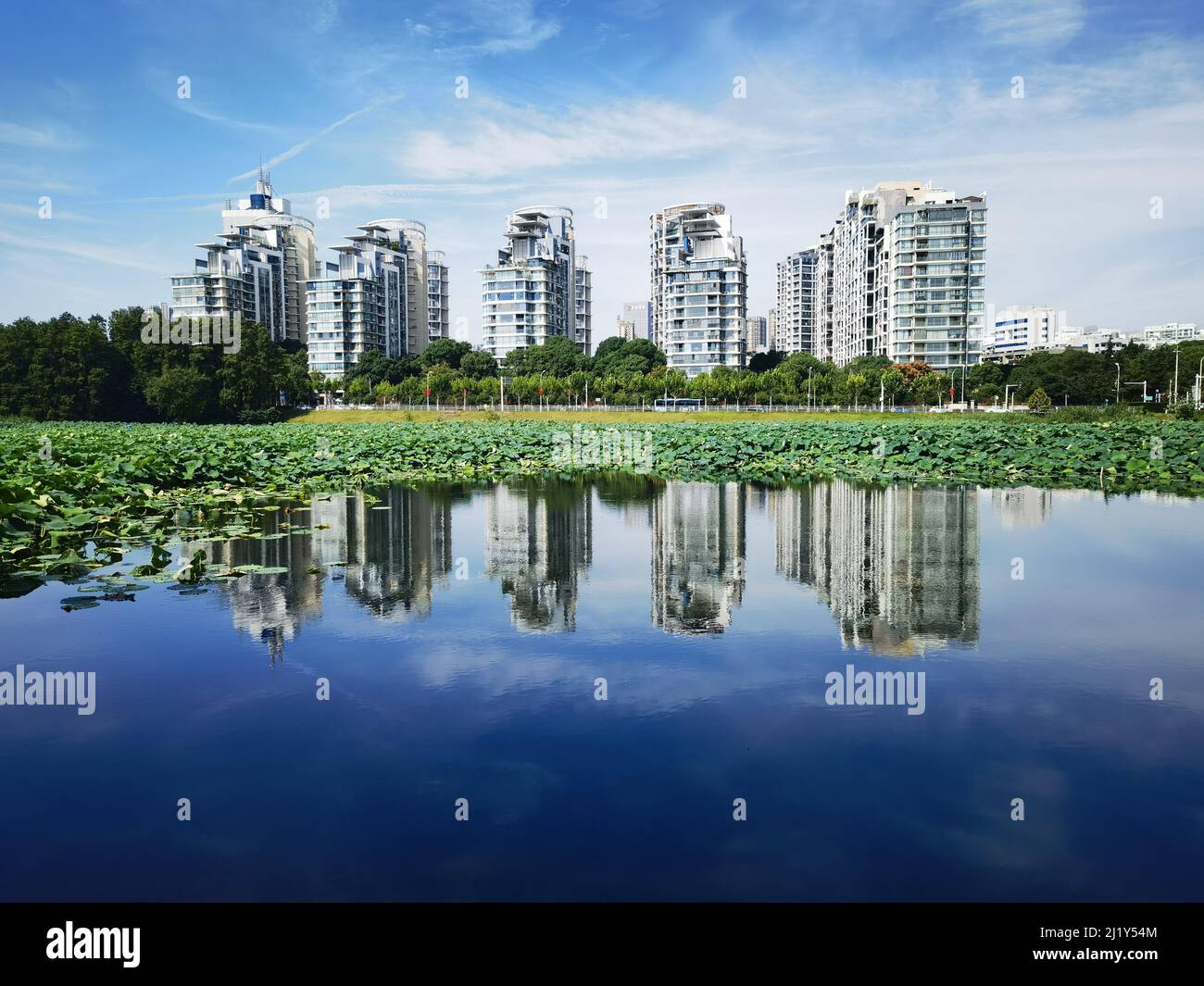 A scenic view of modern buildings and green trees reflecting on a lake ...