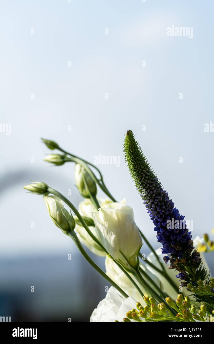 Bloom white together hi-res stock photography and images - Alamy