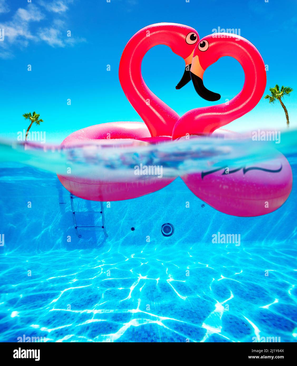 Love concept flamingo rubber buoys kiss in heart shape Stock Photo