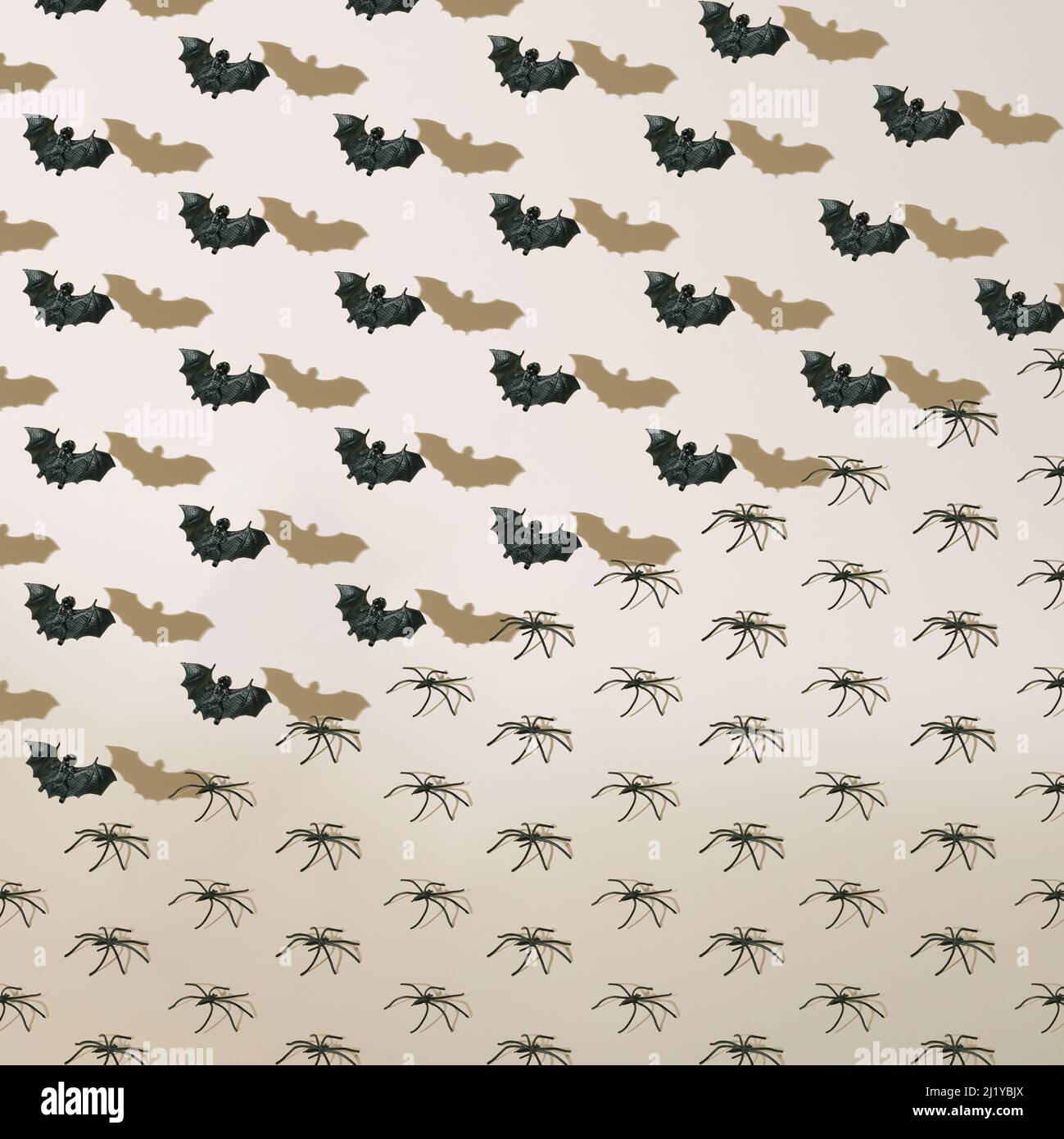 Halloween pattern of black flying bats and poisonous spiders with shadows on neutral beige background. Stock Photo