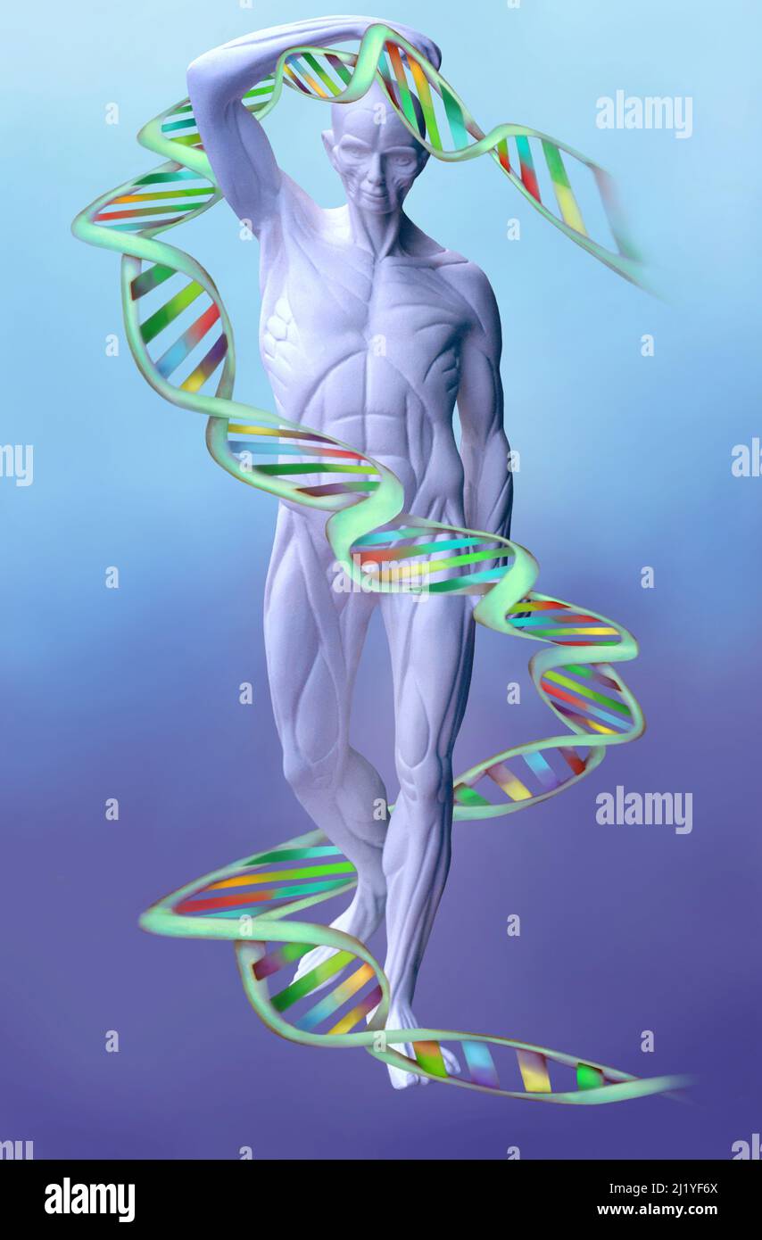DNA Double helix and human male figure. Strand. Genetics and heredity identity. Science and biology. Genetic testing, genetic science. CRISPR Stock Photo