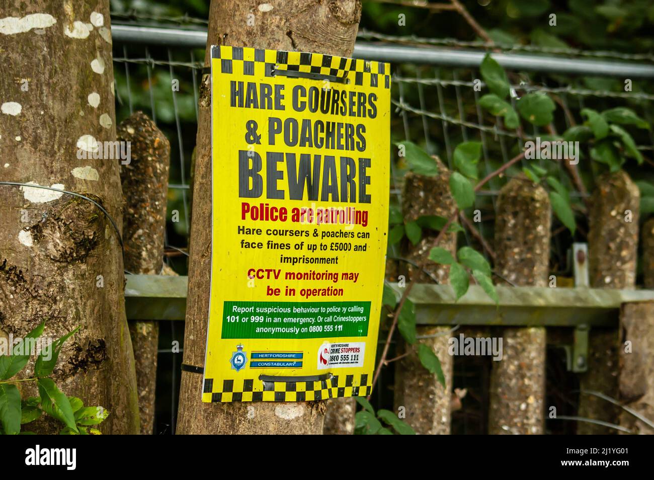 ELSTREE, LONDON, ENGLAND- 17 October 2021: 'Hare coursers and poachers beware' poster in the countryside in Elstree, England Stock Photo