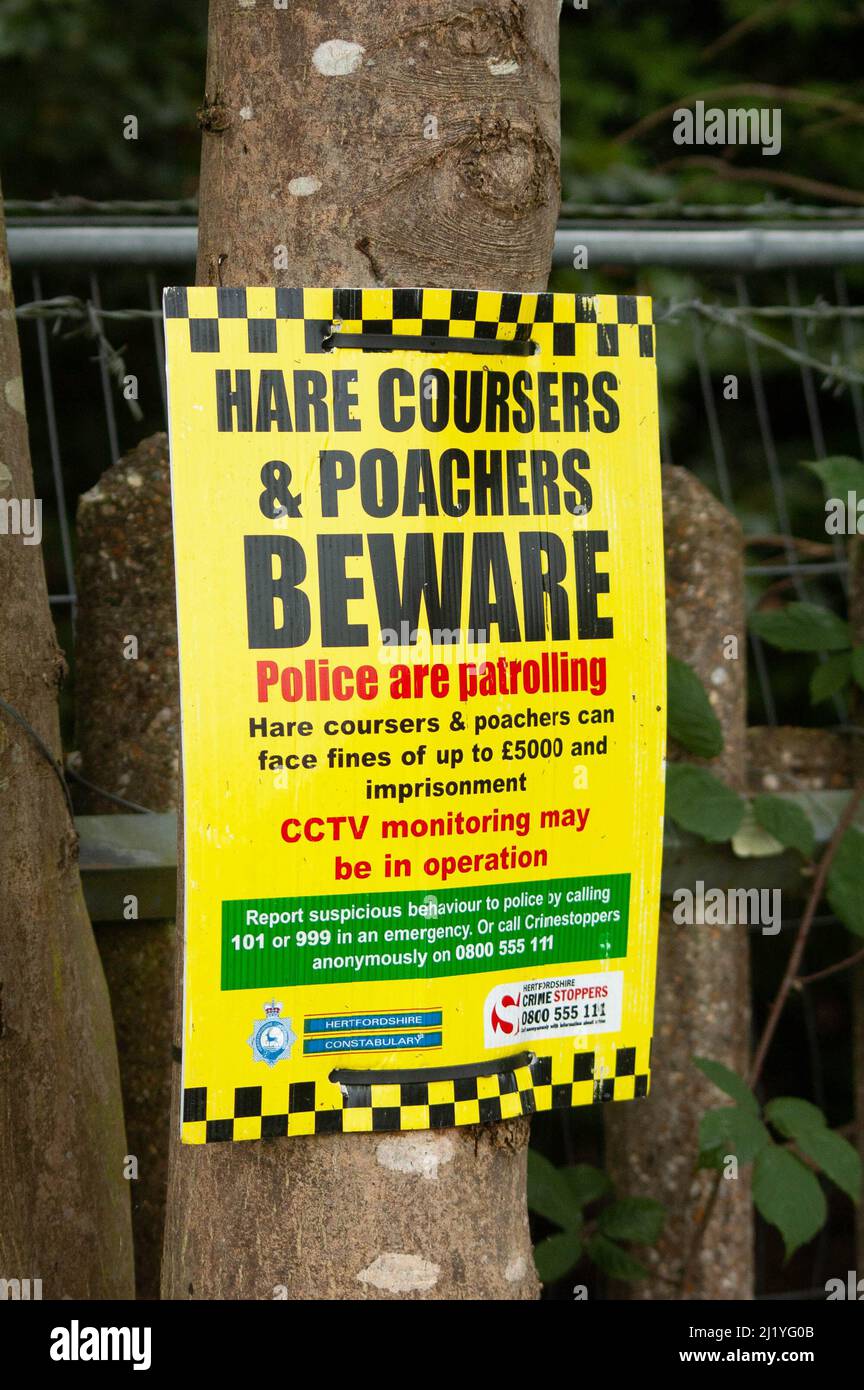 ELSTREE, LONDON, ENGLAND- 17 October 2021: 'Hare coursers and poachers beware' poster in the countryside in Elstree, England Stock Photo
