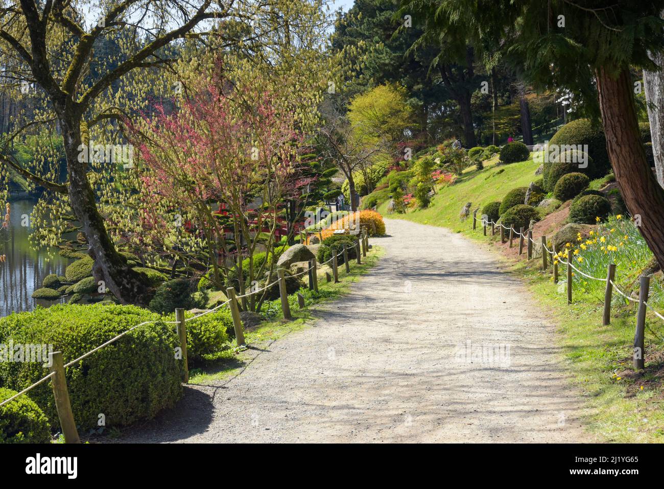 beautiful landscape in the oriental park of Maulevrier Stock Photo