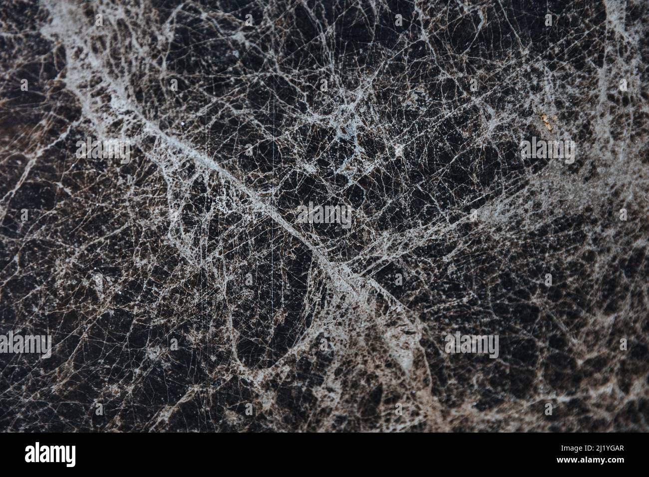 Smooth texture hi-res stock photography and images - Alamy