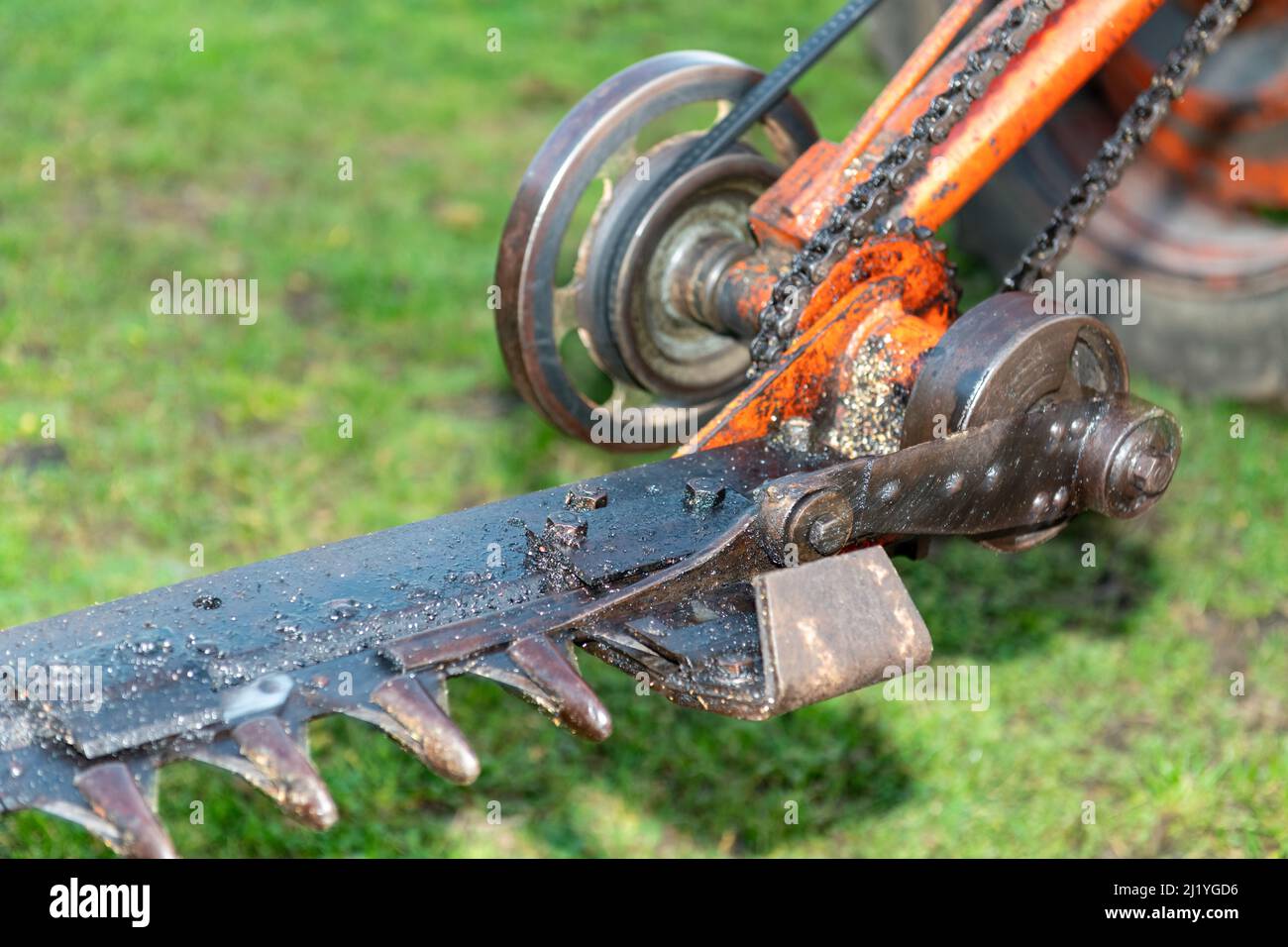 Close up of the blade on an antique hedge trimmer Stock Photo