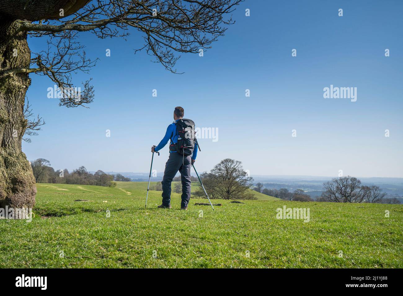 Rear view of isolated male hiker, with walking poles & rucksack