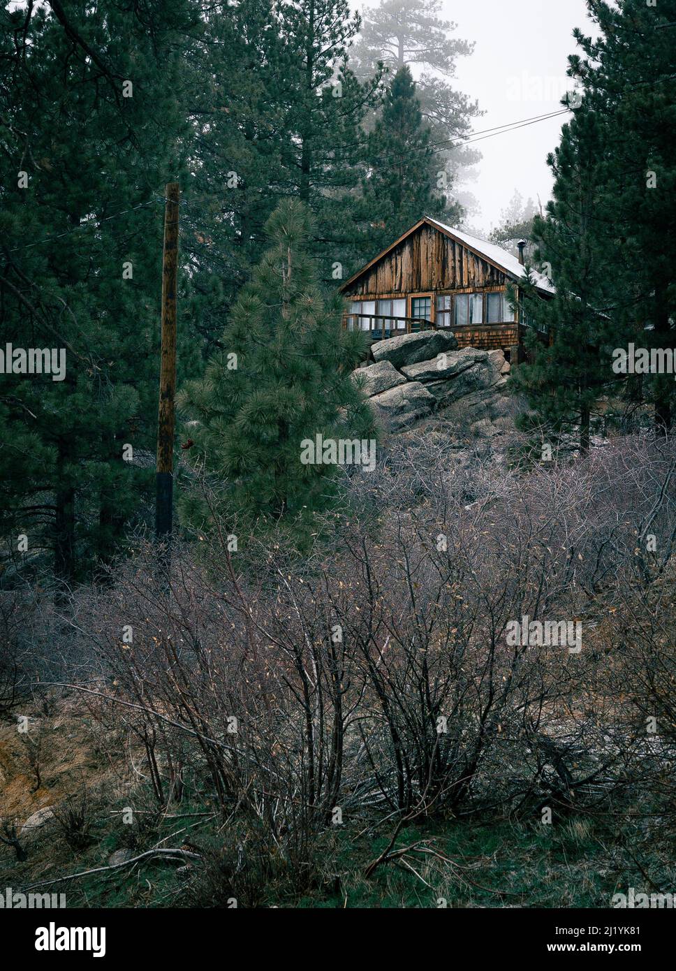 A vertical shot of a wooden cabin deep in the woods in Big Bear ...