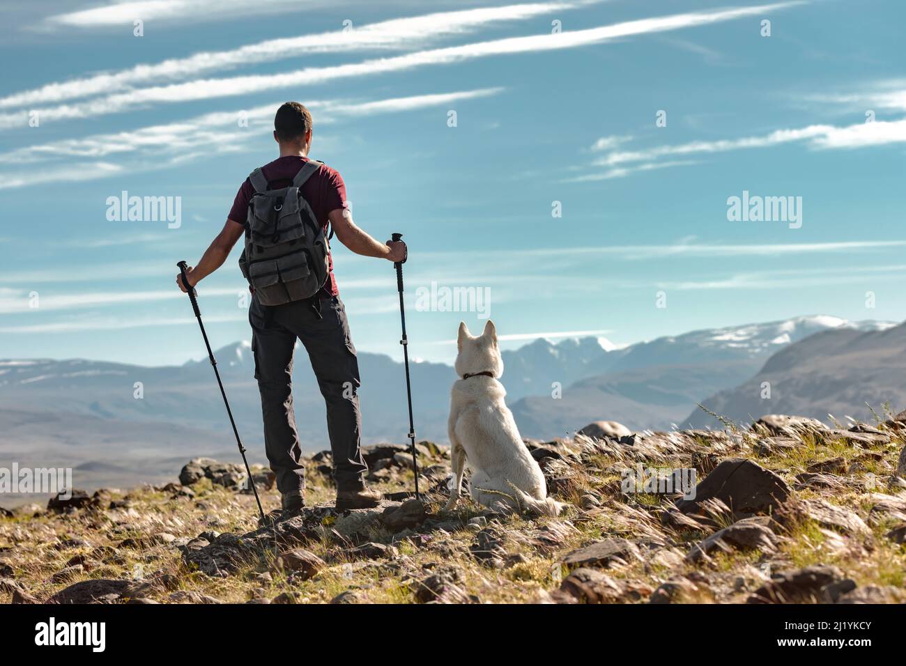 Hiker with hiking poles and white husky dog stands against the backdrop of mountains Stock Photo