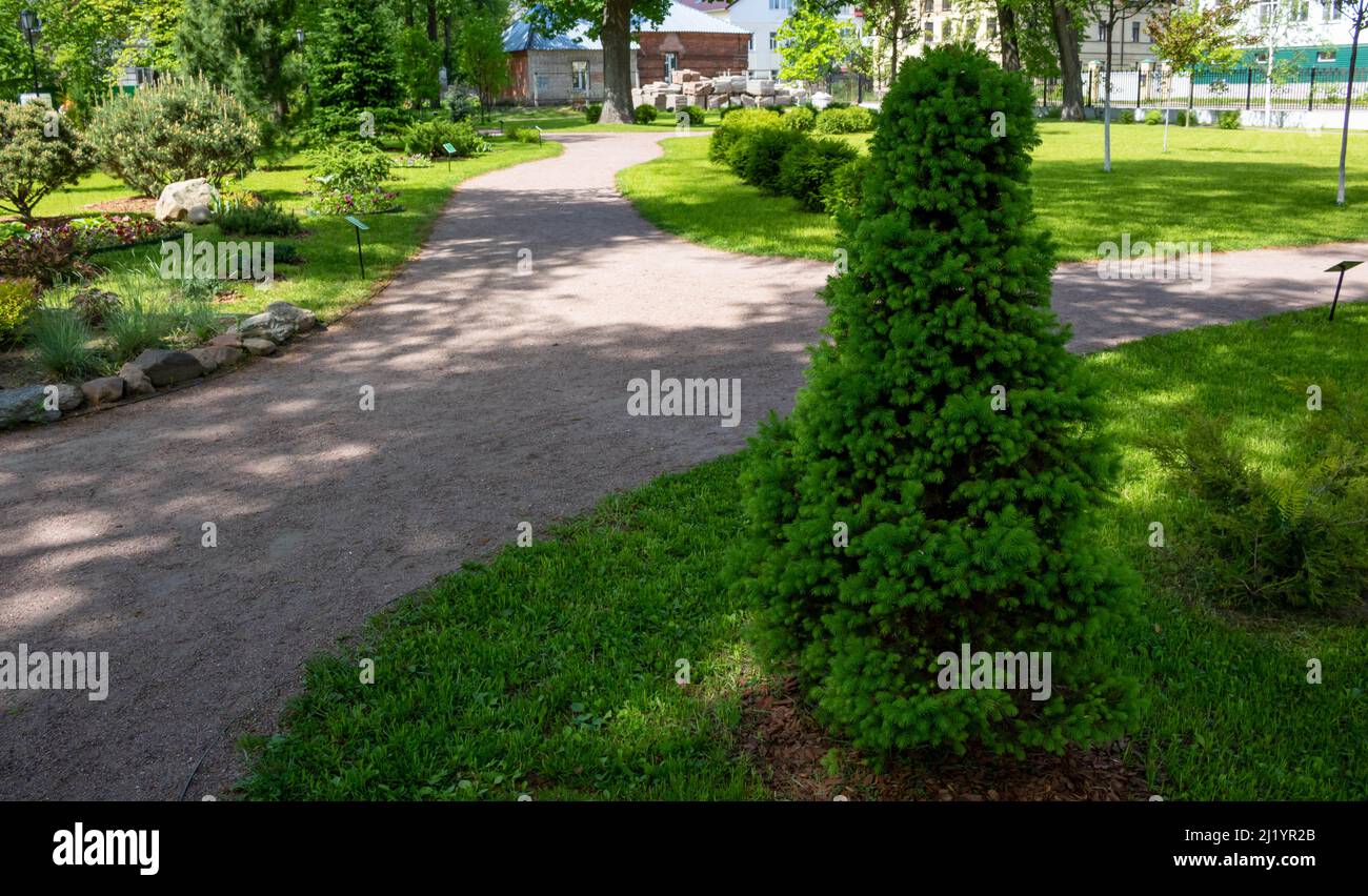 On a bright sunny day, green grass and bushes in the city park. Stock Photo