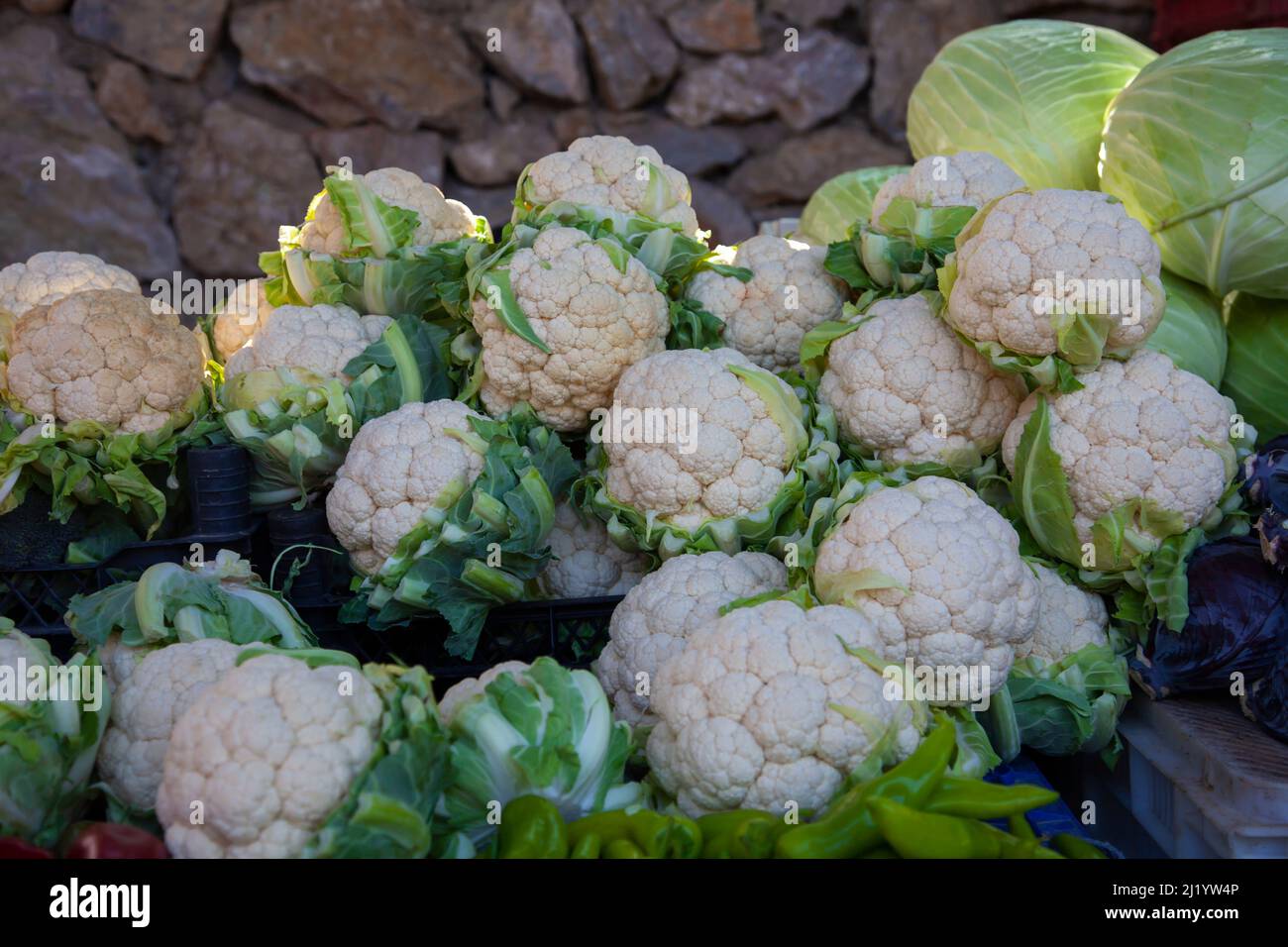 Cauliflower on display at a farmers market. Front view and close up. Stock Photo