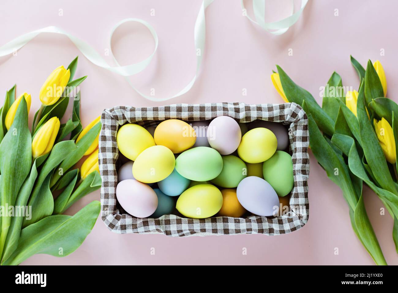 Stylish background with colorful easter eggs isolated on pastel pink ...