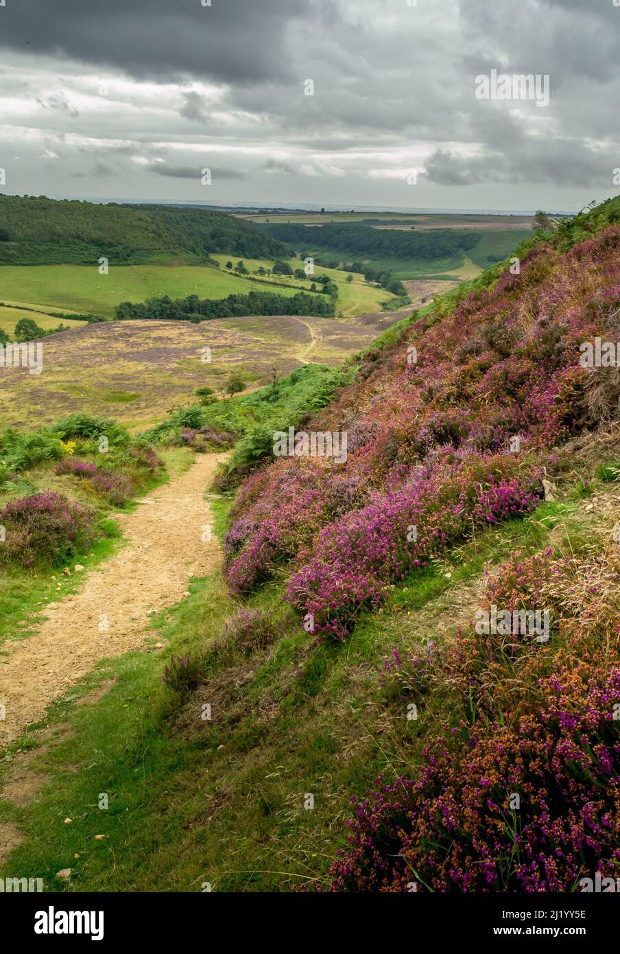 Path to the Hole of Horcum, North Yorkshire Moors Stock Photo