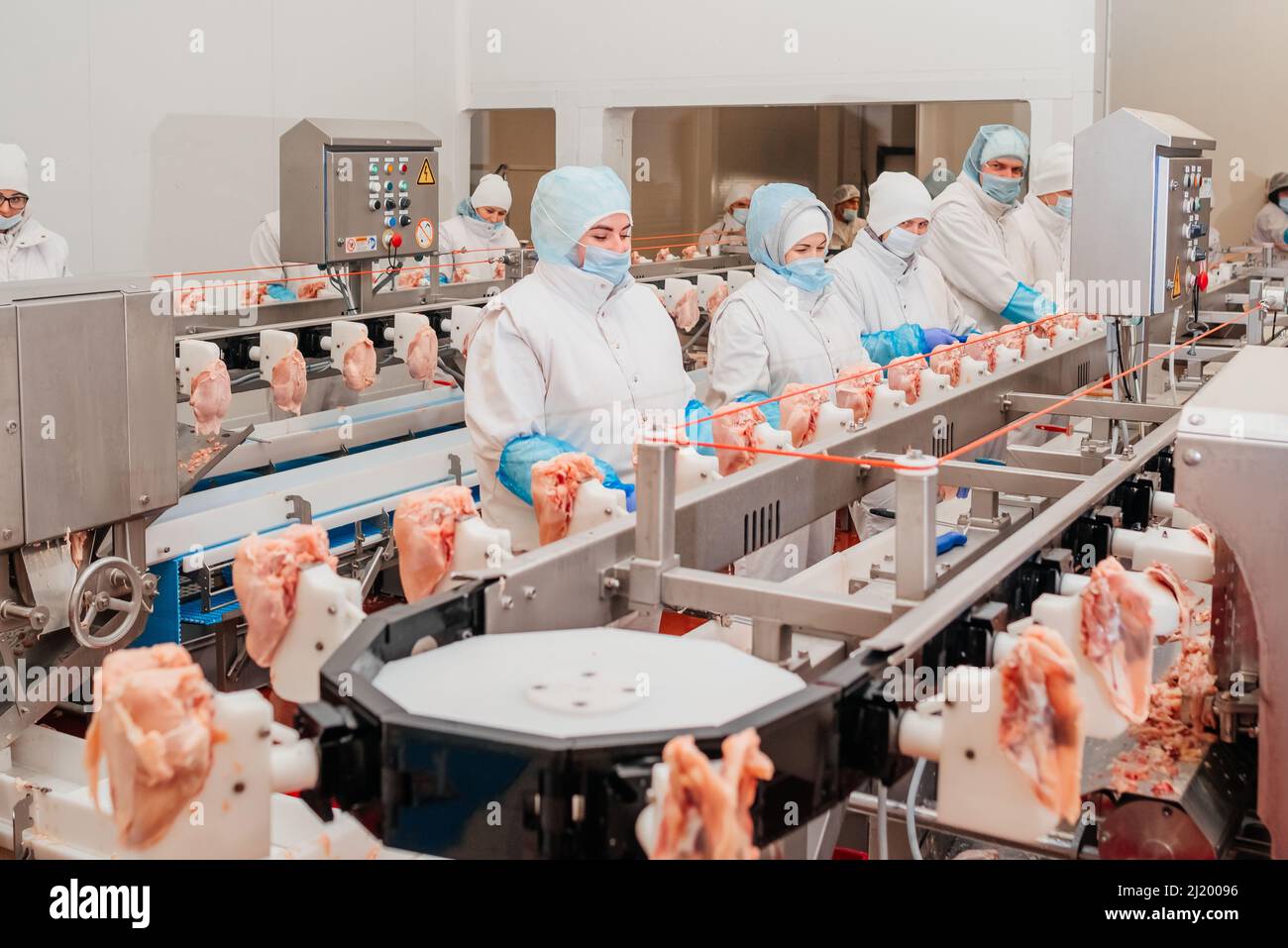 Modern poultry processing plant.Factory for the production of food from