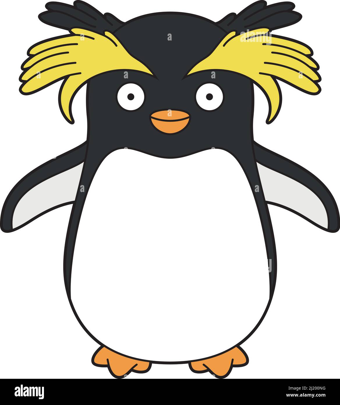 Rockhopper penguin vector hi res stock photography and images Alamy