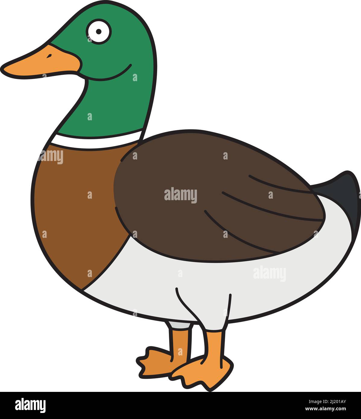 Cute cartoon vector illustration of a brown and green duck Stock Vector  Image & Art - Alamy
