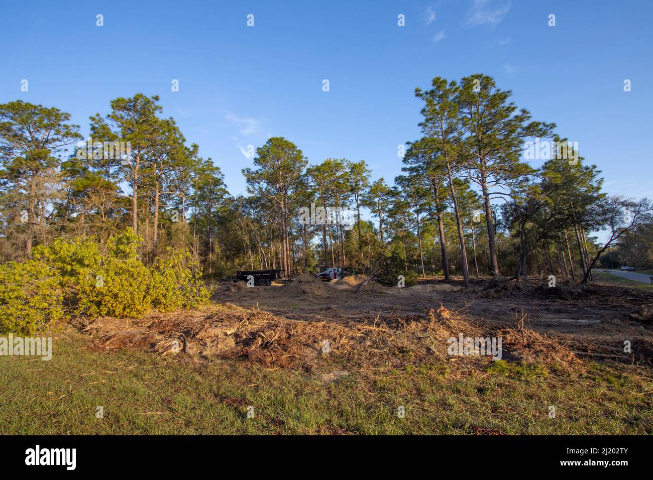 Native forest habitat destroyed for new housing construction in north central Florida Stock Photo