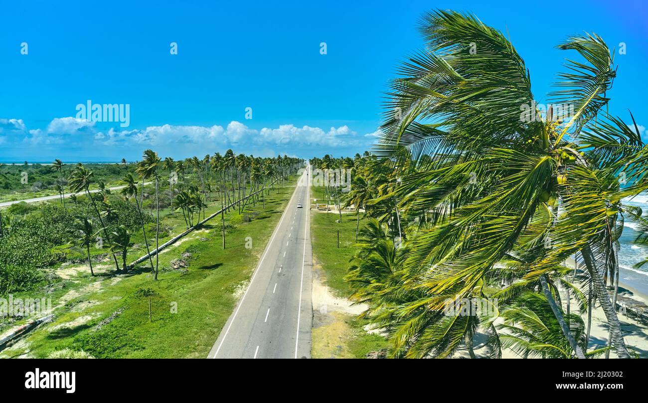 Beautiful Caribbean road with palm trees along the coast of Venezuela, aerial view. Stock Photo