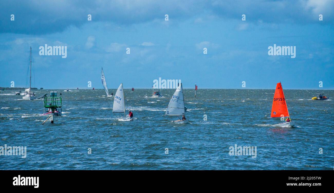 Junior sailors of the Royal Queensland Yacht Squadron out on Southern Moreton Bay with sturdy little Optimist saling dinghies from Manly Boat Harbour, Stock Photo
