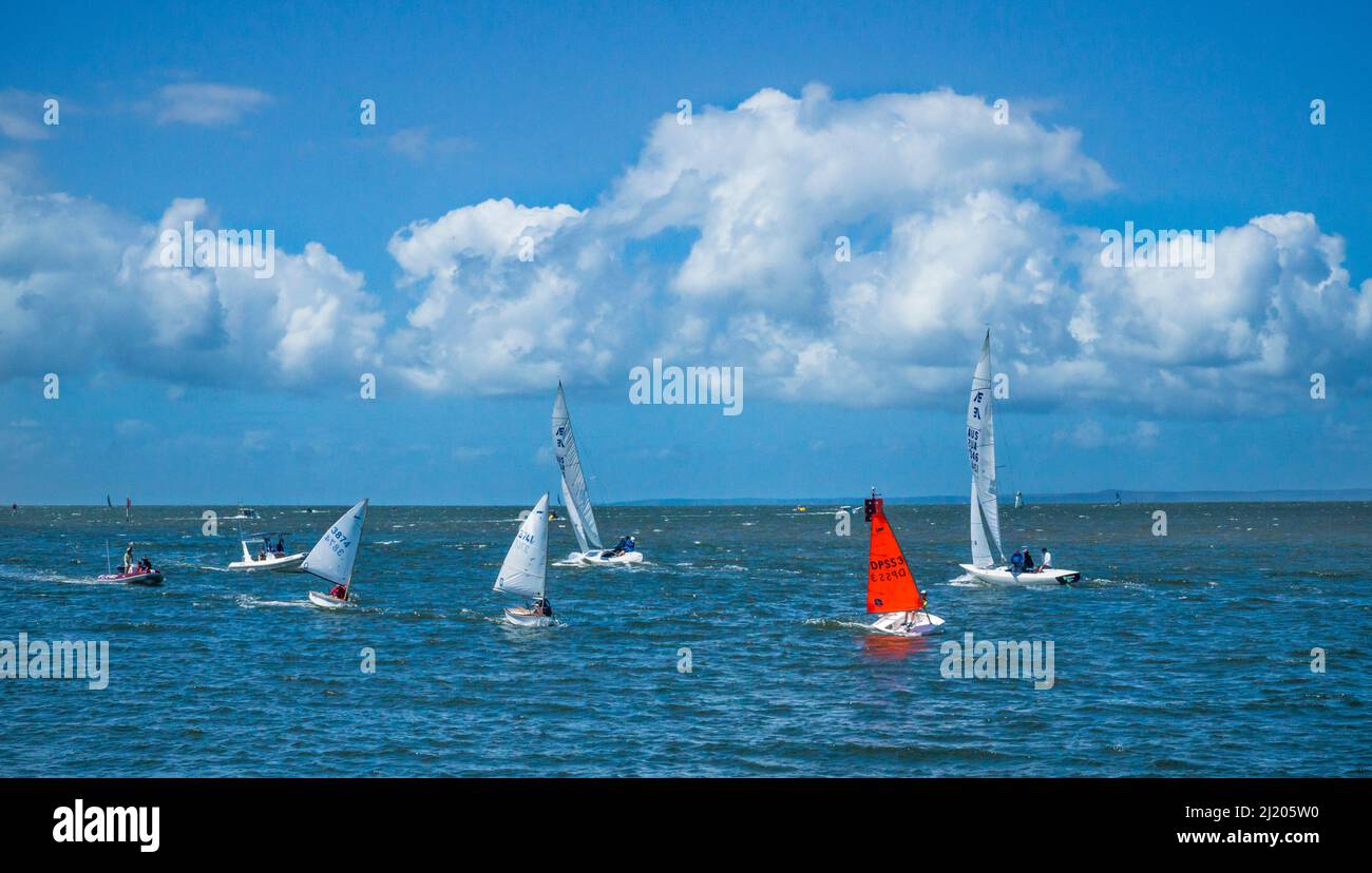 Junior sailors of the Royal Queensland Yacht Squadron out on Southern Moreton Bay with sturdy little Optimist saling dinghies from Manly Boat Harbour, Stock Photo