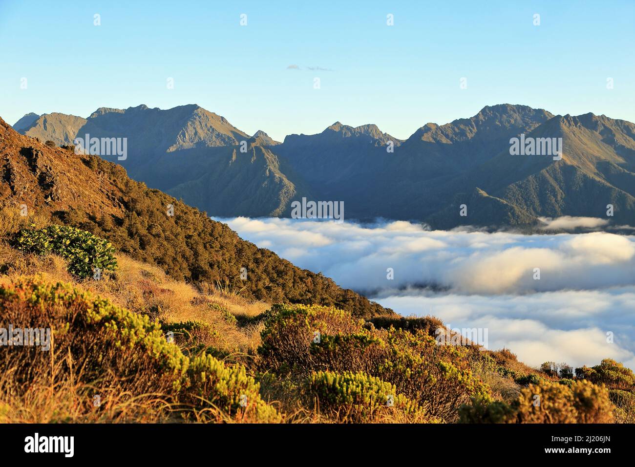 Kepler Track Fiordland New Zealand Stock Photo