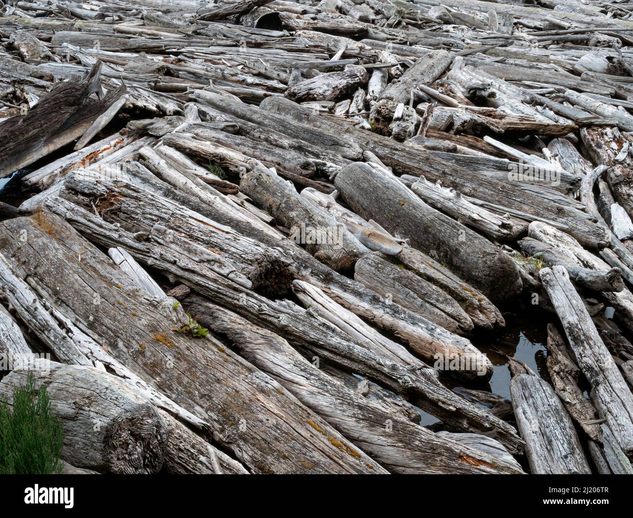 WA21179-00...WASHINGTON - Drift logs in a salt-chuck lagoon  located between the two arms of Spencer Spit in Spencer Spit State Park on Orcas Island. Stock Photo