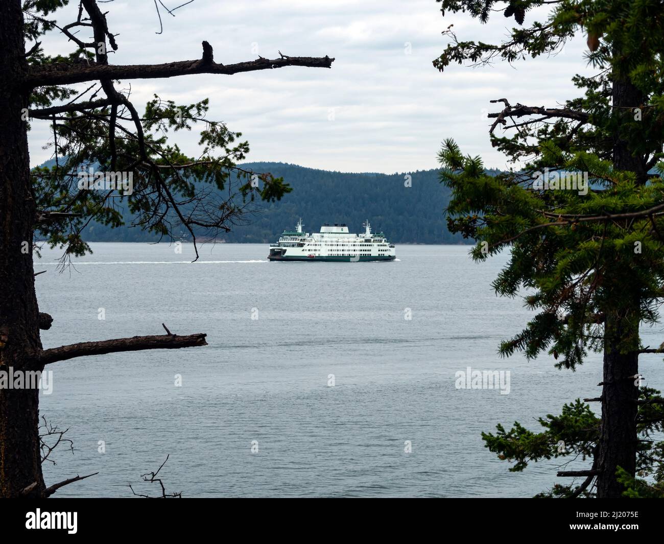 WA21203-00...WASHINGTON - A Washington State ferry passing Upright Head Preserve on Lopez Island. Stock Photo