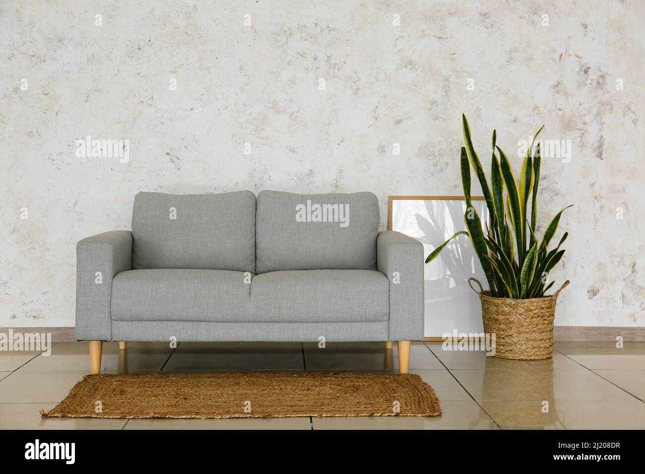 Interior of modern living room with stylish sofa and houseplant Stock ...