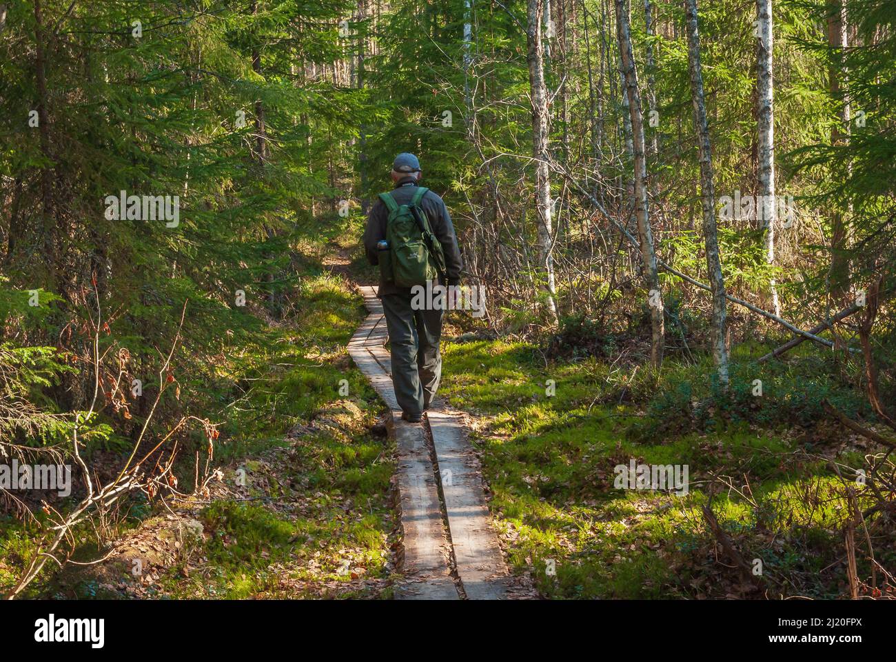 Hiker backpack forest hi-res stock photography and images - Alamy