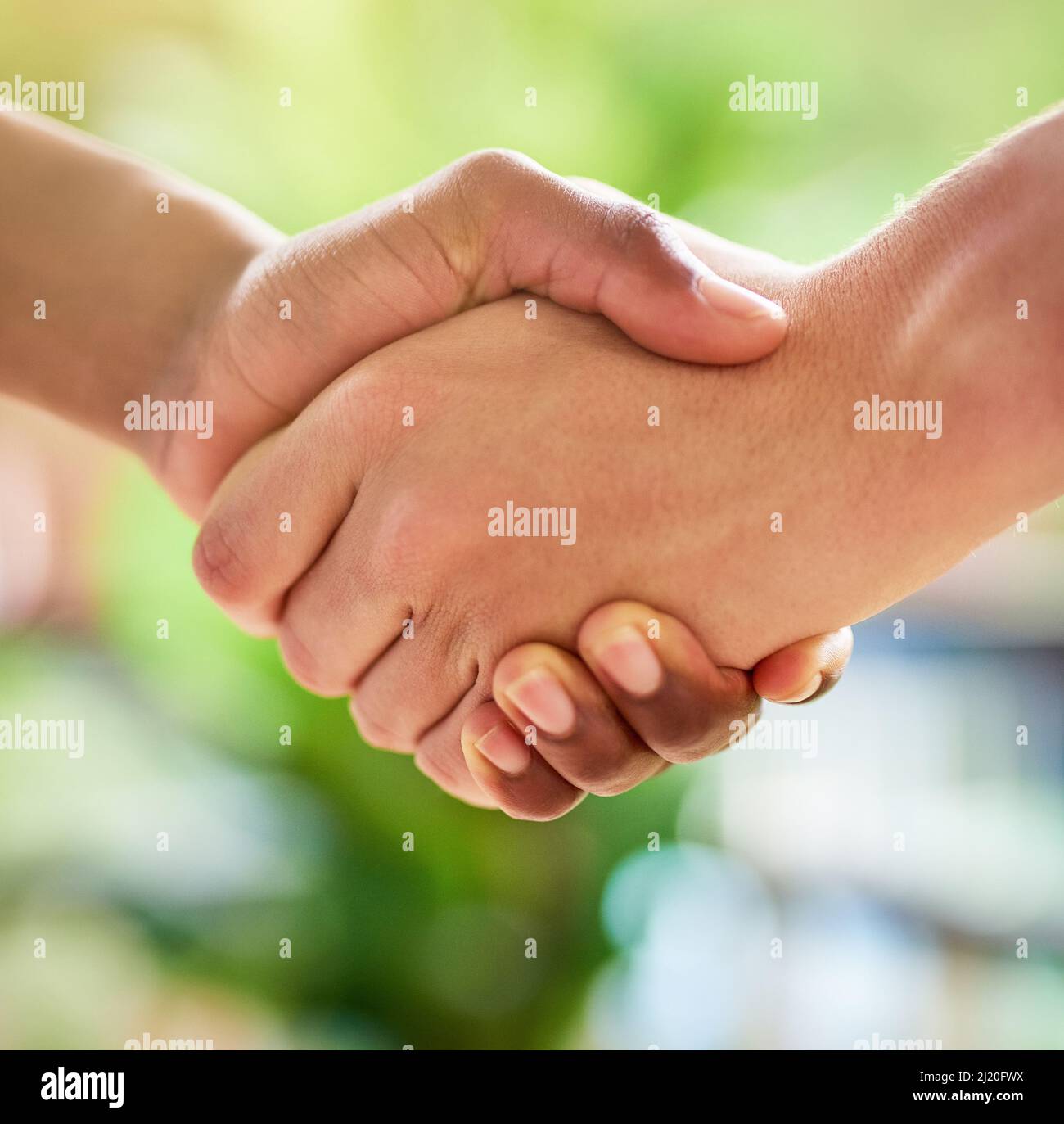 Shaking Hands. Friend Welcome, Introduction, Friendship