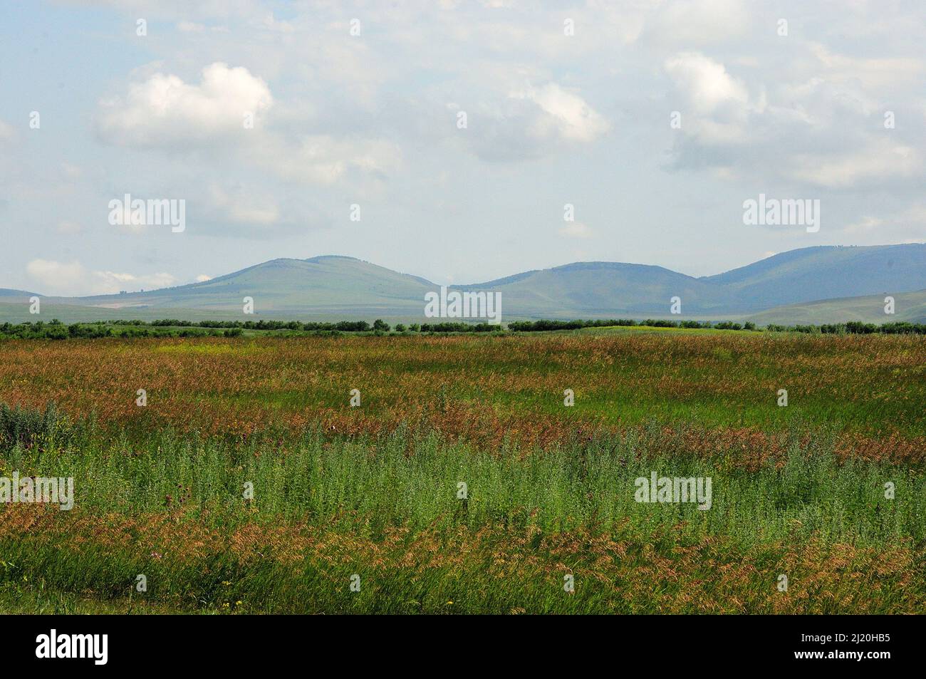 Endless steppe with tall grass at the foot of a range of hills. Khakassia, Siberia, Russia. Stock Photo