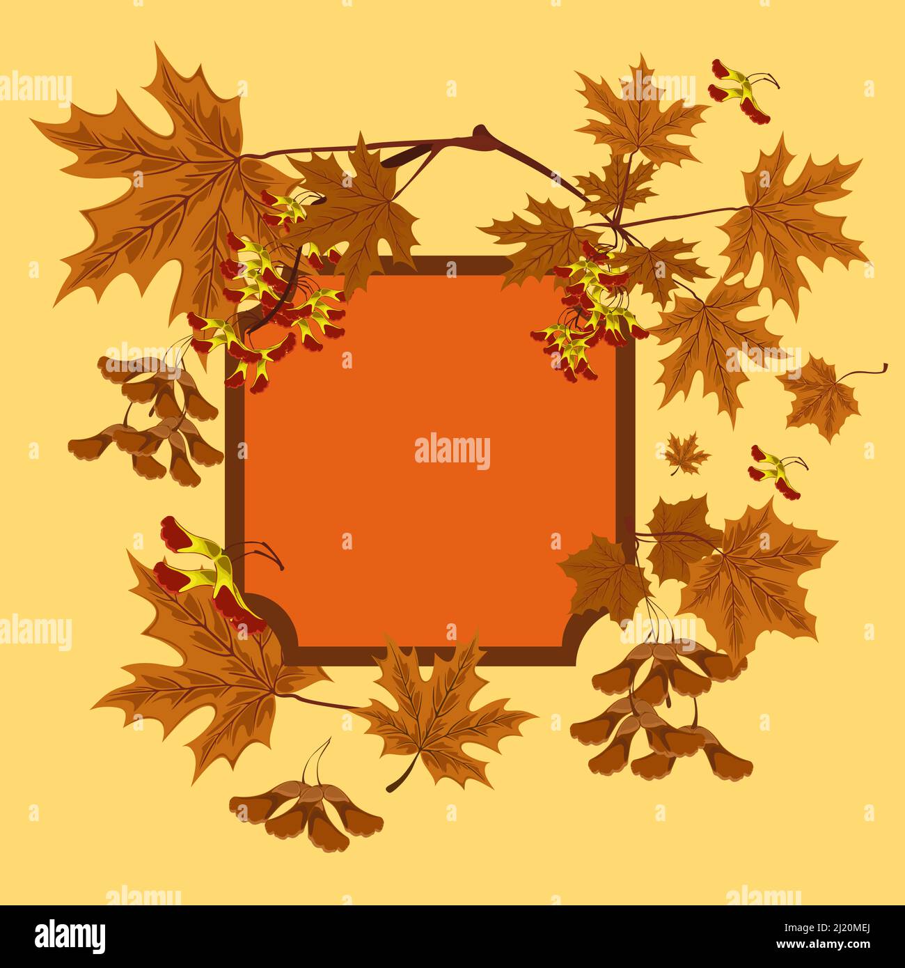 Branch, seeds and leaves of maple. Autumn maple leaves set Stock Vector