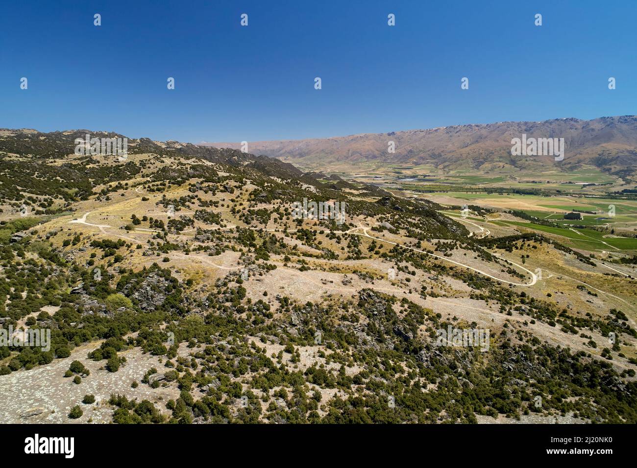 Remnant kanuka forest and Bendigo Ghost Town, Central Otago, South Island, New Zealand - drone aerial Stock Photo