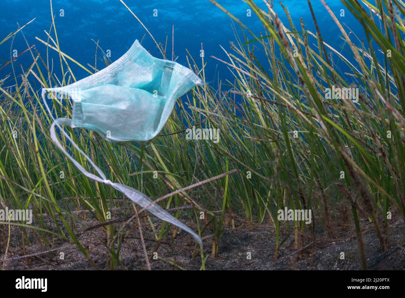 Face mask, used as PPE during Covid19, improperly disposed of in the sea, Tenerife, Canary