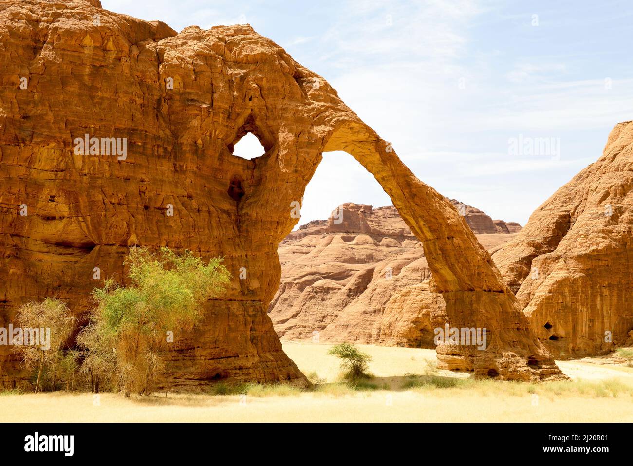 Elephant arch - eroded sandstone rock formation  in the Ennedi Natural And Cultural Reserve, UNESCO World Heritage Site, Sahara Desert, Chad. Septembe Stock Photo