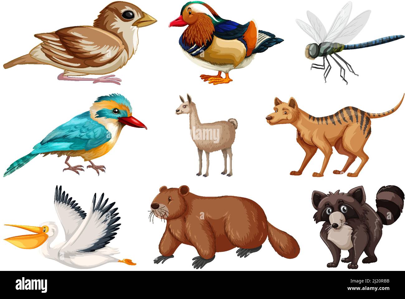 Different kinds of animals collection illustration Stock Vector Image ...