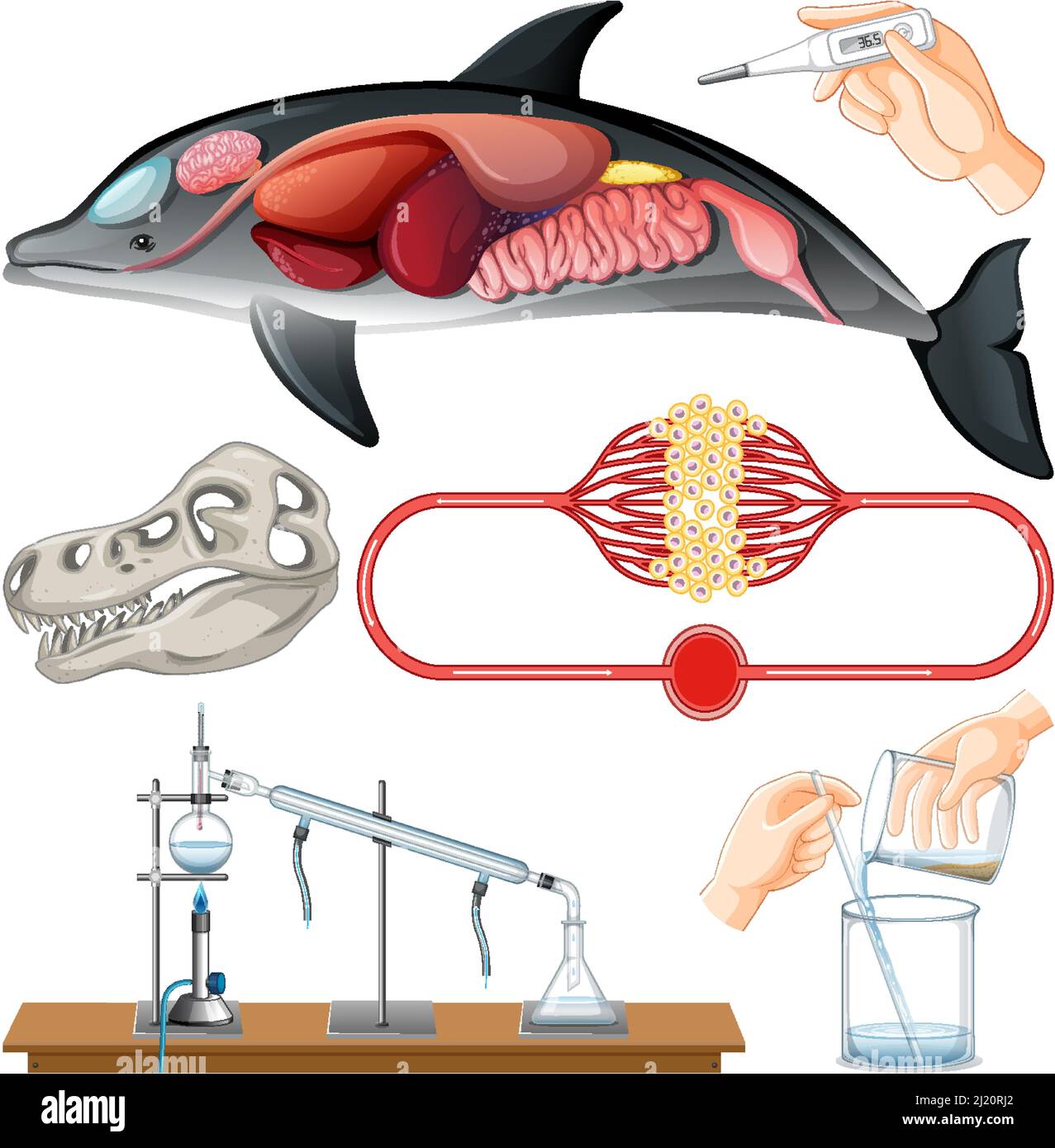 Set of equipment needed for science experiment illustration Stock ...