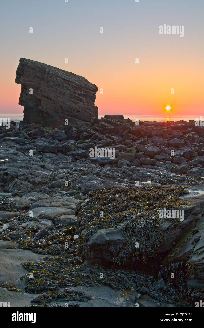 Charlie’s Garden lies just off Collywell Bay Road in Seaton Sluice and is an isolated sandstone pinnacle which adopted its name from a local villager, Stock Photo