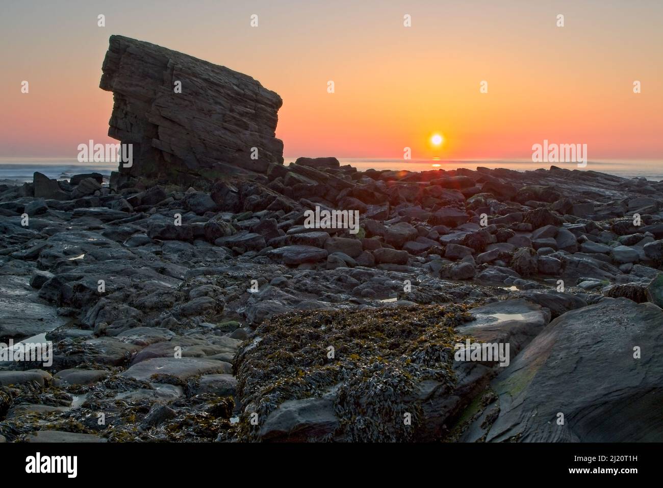 Charlie’s Garden lies just off Collywell Bay Road in Seaton Sluice and is an isolated sandstone pinnacle which adopted its name from a local villager, Stock Photo