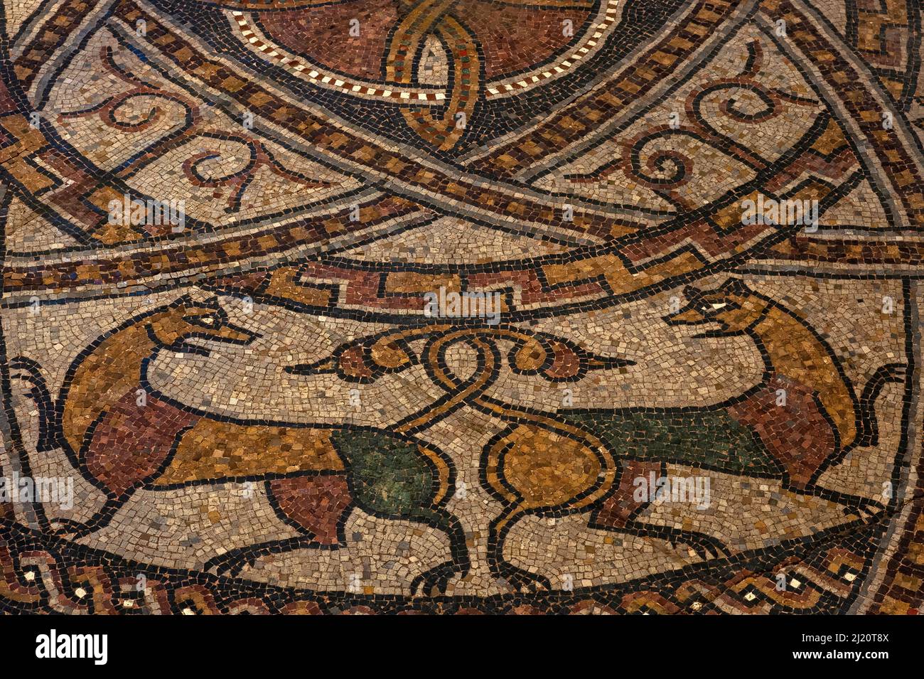 Pair of cats, tails entwined and heads turned to glare at each other.  Detail of medieval mosaic in restored late-1000s or early 1100s pavement in former Benedictine abbey church at Sorde l'Abbaye, Landes, Nouvelle-Aquitaine, France. Stock Photo