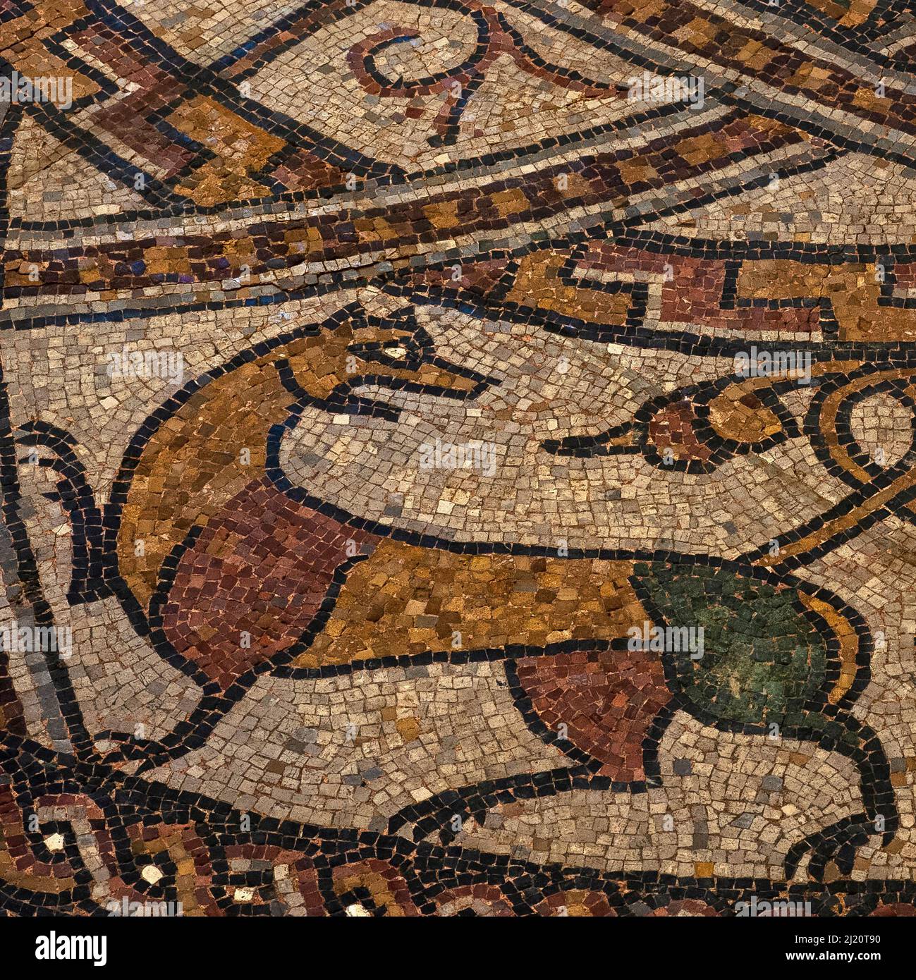 Colourful cat.  Detail of medieval mosaic in restored late-1000s or early 1100s pavement in former Benedictine abbey church at Sorde l'Abbaye, Landes, Nouvelle-Aquitaine, France. Stock Photo