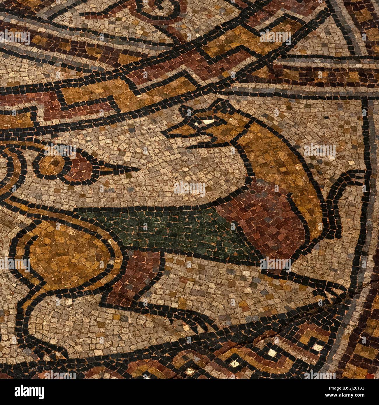 Cat in colour.  Detail of medieval mosaic in restored late-1000s or early 1100s pavement in former Benedictine abbey church at Sorde l'Abbaye, Landes, Nouvelle-Aquitaine, France. Stock Photo