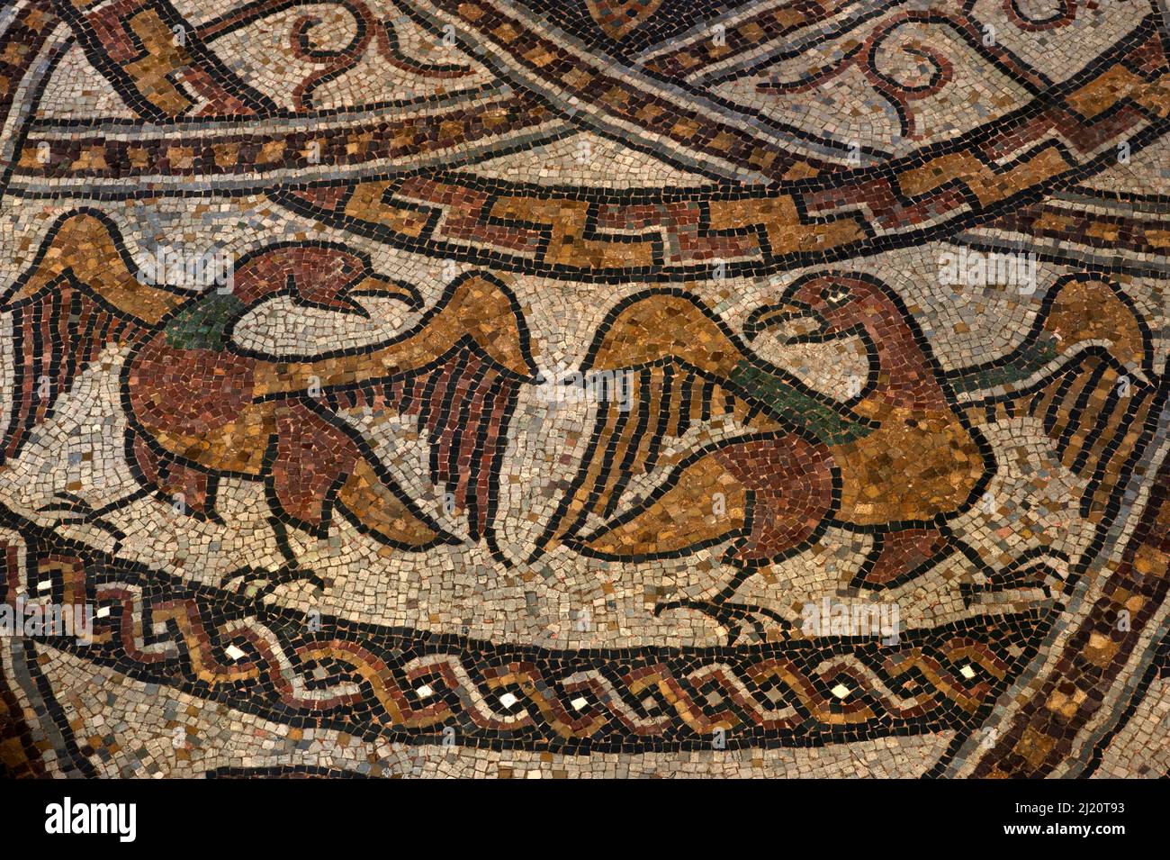Eagles with outstretched wings and open beaks.  Detail of medieval mosaic in restored late-1000s or early 1100s pavement in former Benedictine abbey church at Sorde l'Abbaye, Landes, Nouvelle-Aquitaine, France. Stock Photo
