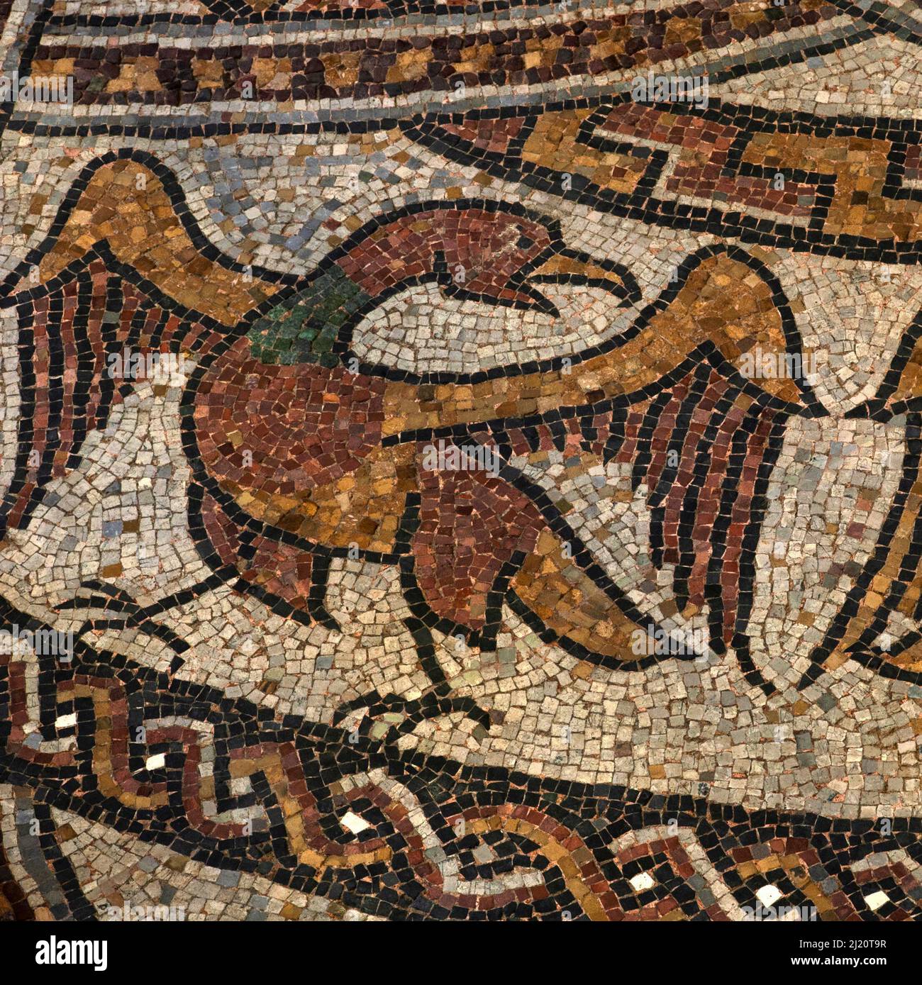 Eagle with open beak and outstretched wings.  Detail of medieval mosaic in restored late-1000s or early 1100s pavement in former Benedictine abbey church at Sorde l'Abbaye, Landes, Nouvelle-Aquitaine, France. Stock Photo