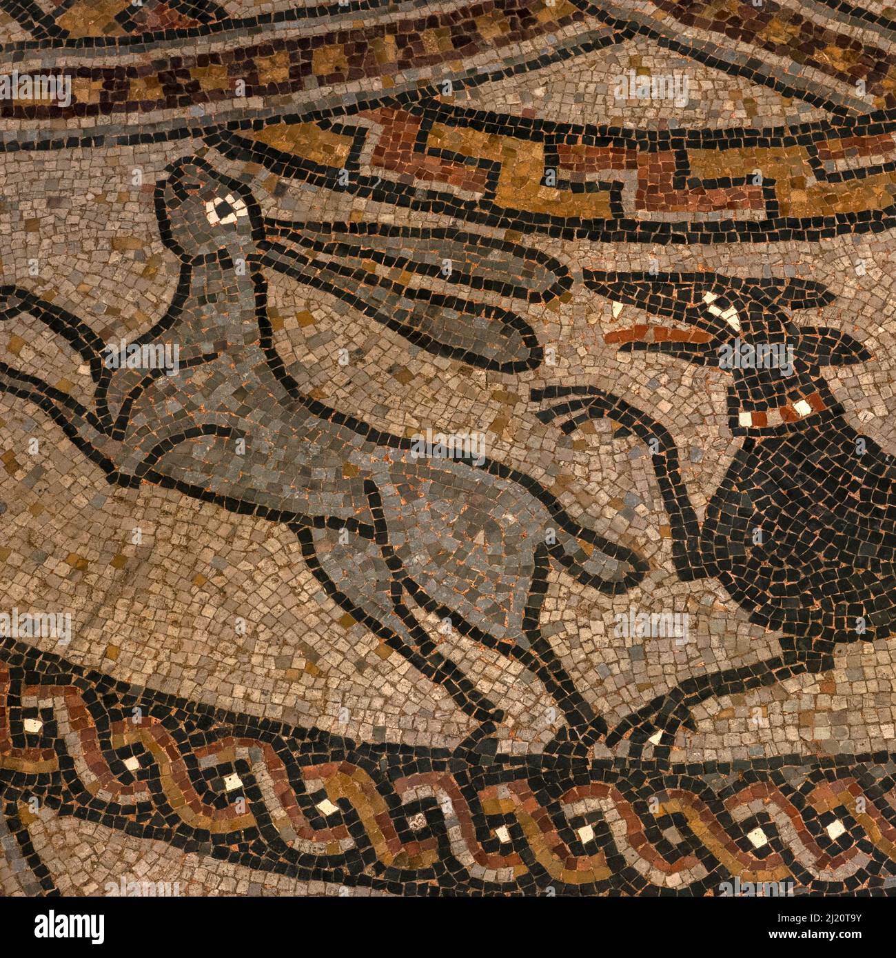 Black hound pursues leaping grey hare.  Detail of medieval mosaic in restored late-1000s or early 1100s pavement in former Benedictine abbey church at Sorde l'Abbaye, Landes, Nouvelle-Aquitaine, France. Stock Photo