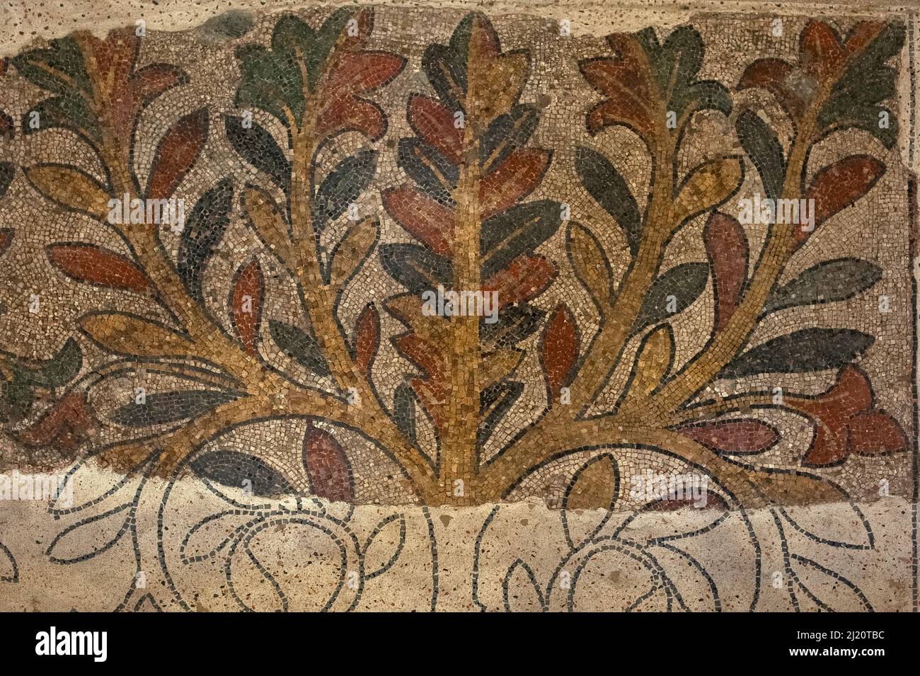 Restoration work on late 1000s / early 1100s mosaic pavement of Romanesque abbey church of Saint-Jean de Sordes at Sorde l'Abbaye, Landes, Nouvelle-Aquitaine, France. Missing parts of medieval mosaic tree with seven main branches outlined in modern cement. Stock Photo