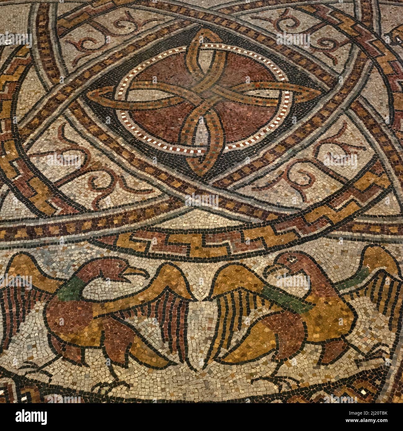 Eagles with outstretched wings and open beaks turn to face each other.  Medieval mosaic in restored late-1000s or early 1100s pavement in former Benedictine abbey church at Sorde l'Abbaye, Landes, Nouvelle-Aquitaine, France. Stock Photo