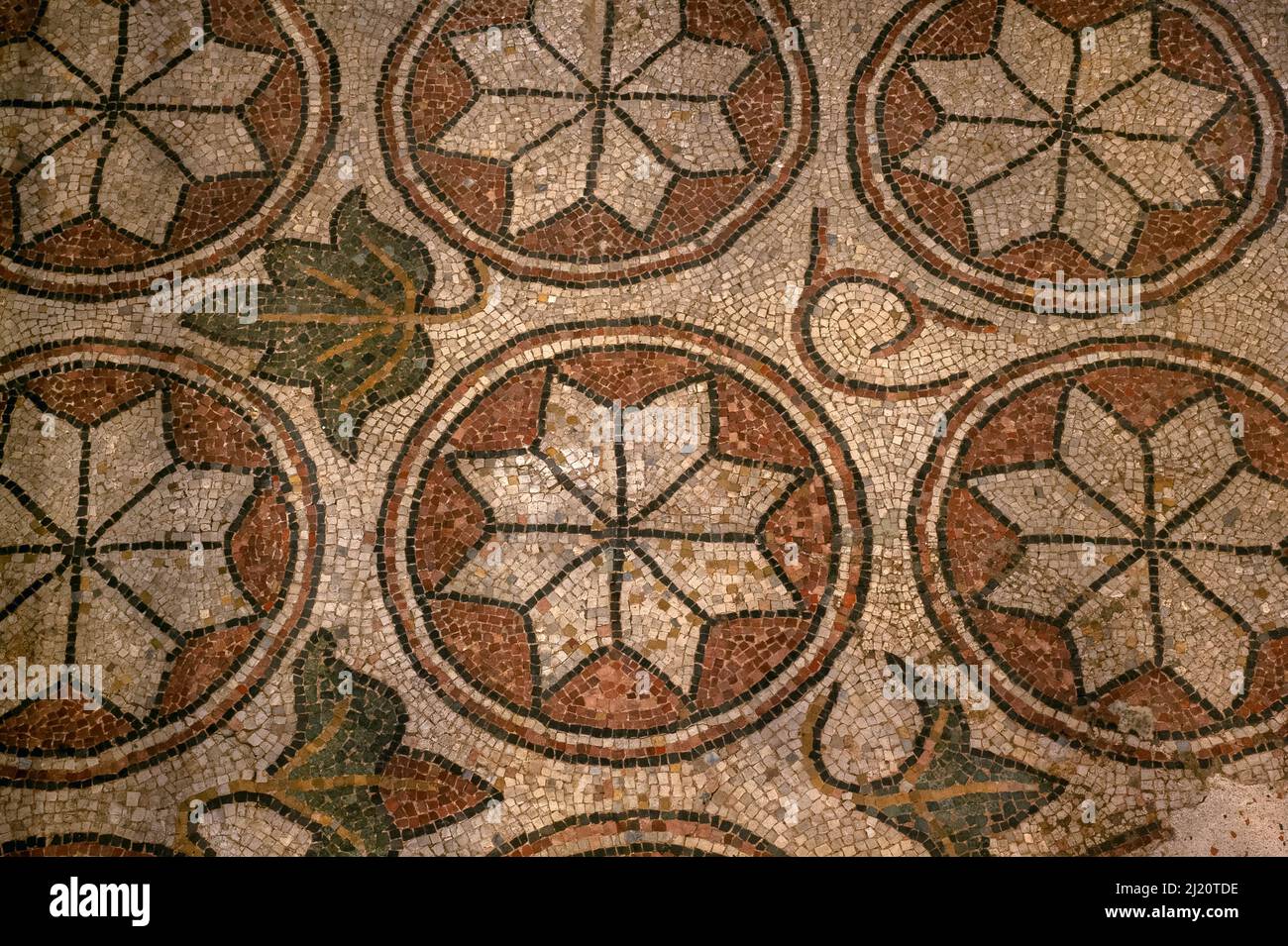 Circles surrounding eight-pointed stars.  Among decorative features of medieval mosaic in restored late-1000s or early 1100s pavement in former Benedictine abbey church at Sorde l'Abbaye, Landes, Nouvelle-Aquitaine, France. Stock Photo