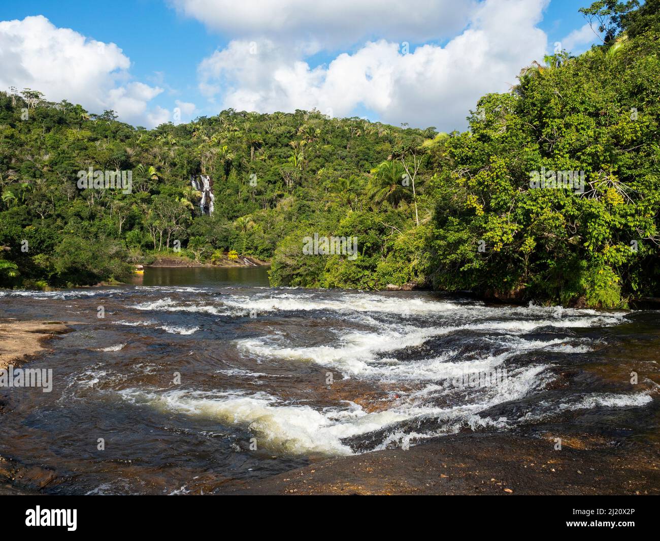 River in coastal rainforest, Mata Atlantica, Bahia, Brazil. Stock Photo