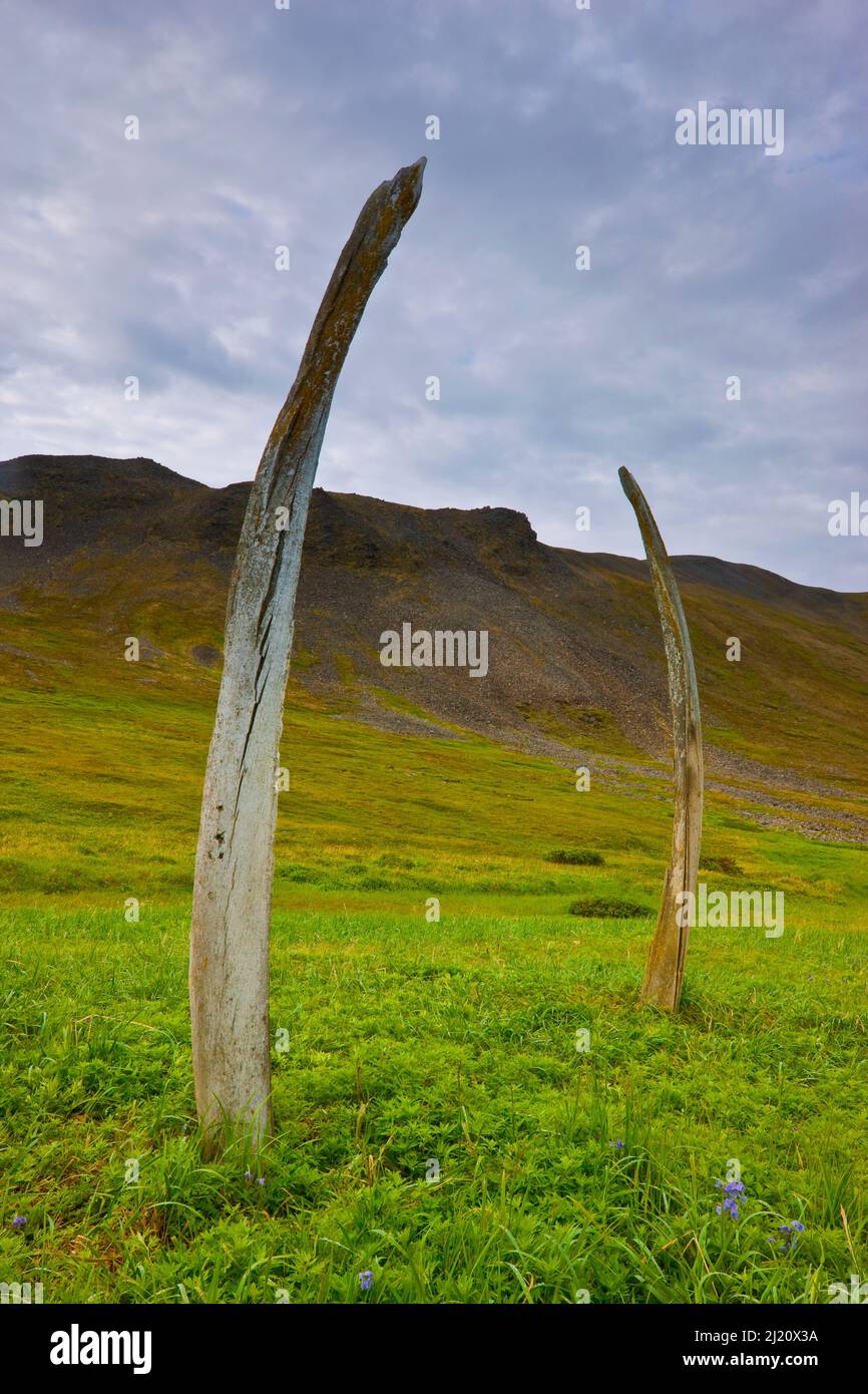 Whale bones placed in a ritual formation by indigenous people at the ancient sacred site currently known as  'Whalebone Alley' on Yttygran Island in t Stock Photo